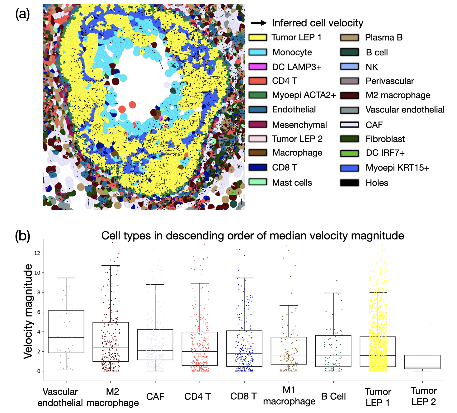 Healing of a microtubule–motor network