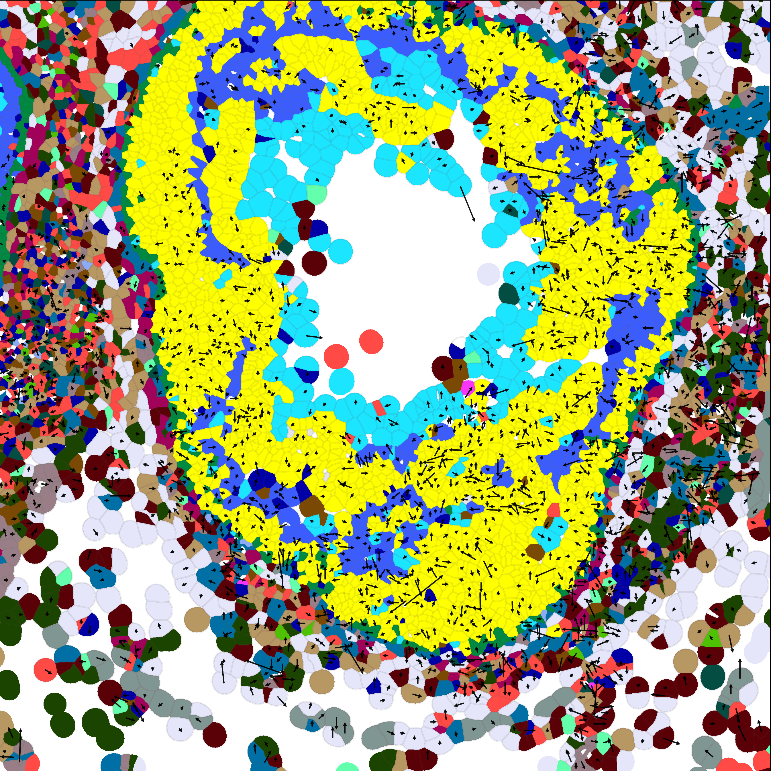 Image-based motility and stress inference in tissues thumbnail