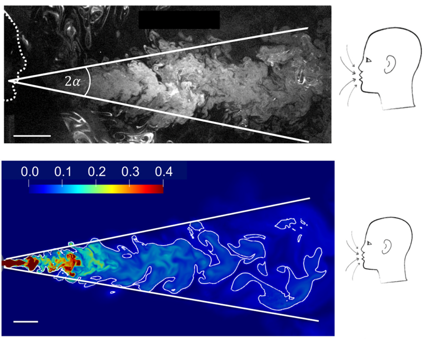 Speech-driven virus transport thumbnail